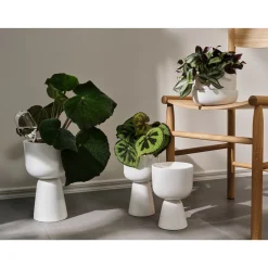 IITTALA kastelupullo 2set Hot