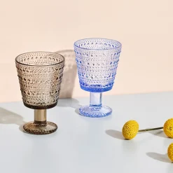 IITTALA Jalkalasi 26cl 2kpl Vedensininen Best