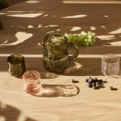 IITTALA Juomalasi 25cl 2kpl Lohenpunainen Clearance