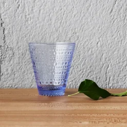 IITTALA Juomalasi 30cl 2kpl Vedensininen Discount