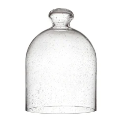 IITTALA Lasikupu 160x220mm kuplalasi Online