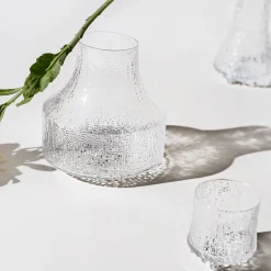 IITTALA Lasimaljakko 180x192mm Kirkas New