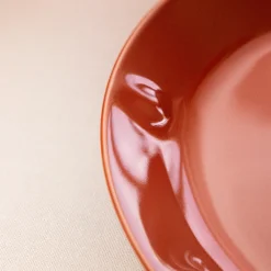 IITTALA Lautanen 27cm Terrakotta New