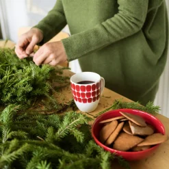 IITTALA Muki 0,34l punainen