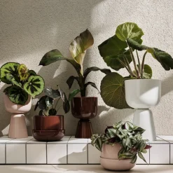 IITTALA Ruukku jalallinen S korkea Beige Clearance