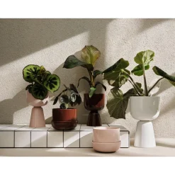 IITTALA Ruukku jalallinen S korkea Beige Clearance