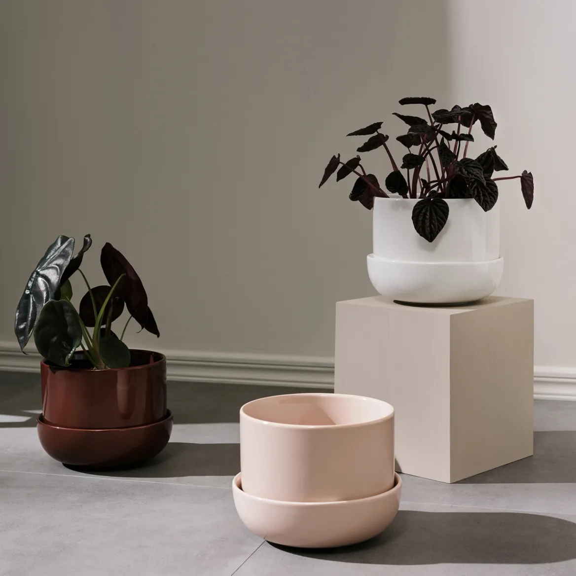 IITTALA Ruukku ja vati S Beige Hot