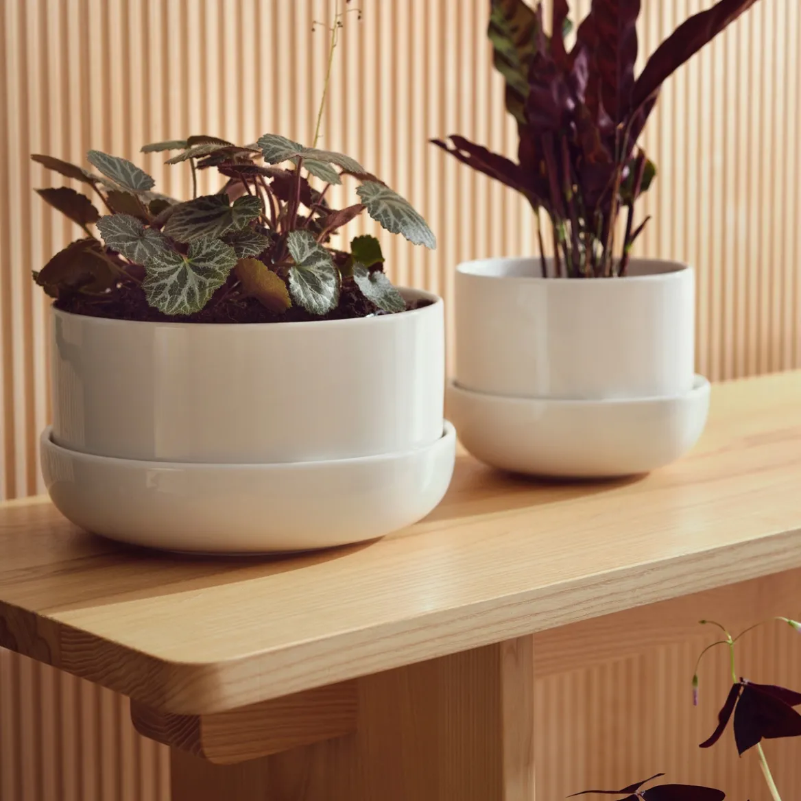 IITTALA Ruukku ja vati M Valkoinen