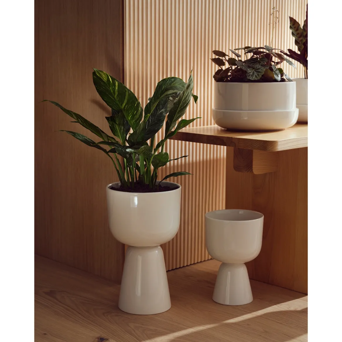 IITTALA Ruukku ja vati M Valkoinen