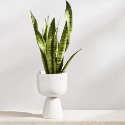 IITTALA Ruukku jalallinen S Valkoinen