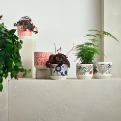 IITTALA Ruukku 100x120mm