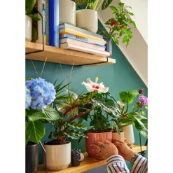 IITTALA Ruukku 120x140mm mattamusta Clearance