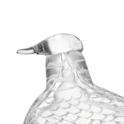 IITTALA Sovinnon kyyhky 160x110mm Clearance