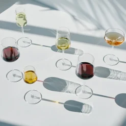 IITTALA Väkeväviinilasi 15cl 2kpl