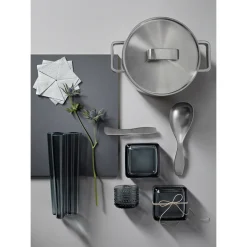 IITTALA Voiveitsi Best